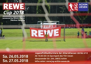 REWECUP2018